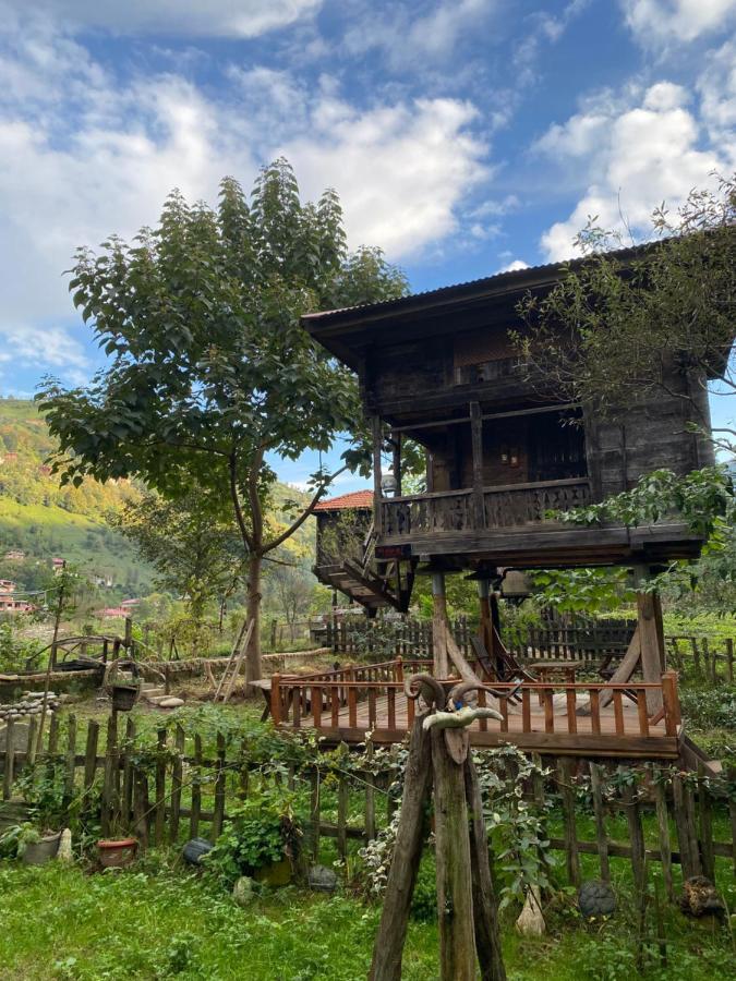 Zeni De Vore Serender & House Rize Exterior foto